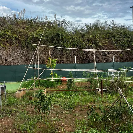 Landhaus La Casita Grao de Castellon